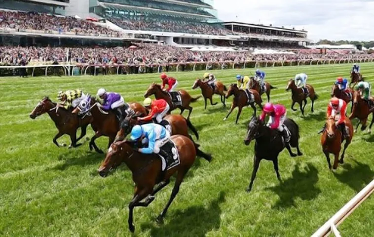 Hướng Dẫn Tìm Hiểu Cá Cược Đua Ngựa W88 Dễ Hiểu Cho Người Mới