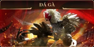 Trải Nghiệm Đá Gà GA28 Tại W88 - Sân Chơi Uy Tín Cho Bet Thủ Việt