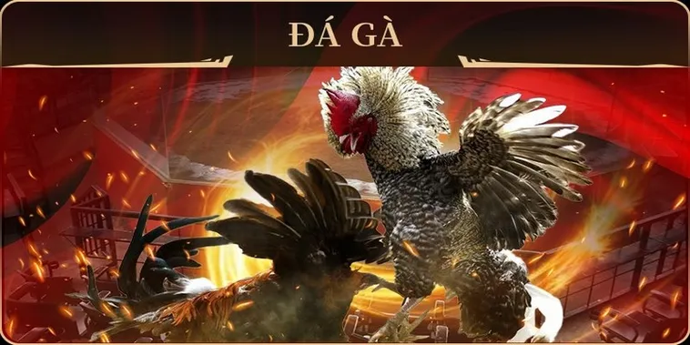 Trải Nghiệm Đá Gà GA28 Tại W88 - Sân Chơi Uy Tín Cho Bet Thủ Việt