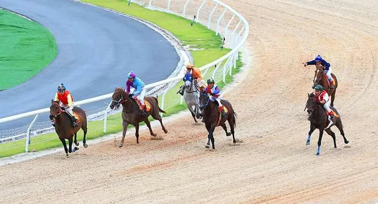 Hướng Dẫn Tìm Hiểu Cá Cược Đua Ngựa W88 Dễ Hiểu Cho Người Mới