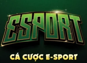 Hướng Dẫn Chi Tiết Cách Chơi Thể Thao Điện Tử Tại W88 Đơn Giản